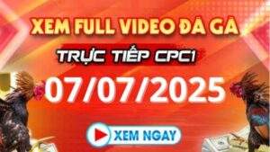 Xem lại video đá gà CPC1 ngày 07_07_2025 tại Daga88