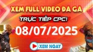 Xem lại video đá gà CPC1 ngày 08_07_2025 tại Daga88