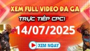 Xem lại video đá gà CPC1 ngày 14_07_2025 tại Daga88