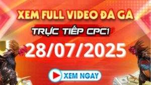 Xem lại video đá gà CPC1 ngày 28_07_2025 tại Daga88