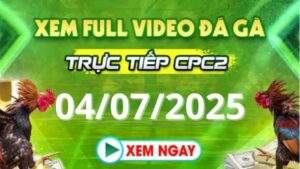 Xem lại video đá gà CPC2 trực tiếp ngày 04/07/2025 tại Daga88