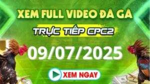 Xem lại video đá gà CPC2 ngày 09_07_2025 tại Daga88