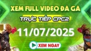 Xem lại video đá gà CPC2 ngày 11_07_2025 tại Daga88