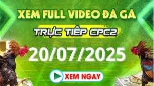 Xem lại video đá gà CPC2 ngày 20_07_2025 tại Daga88