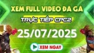 Xem lại video đá gà CPC2 ngày 25_07_2025 tại Daga88