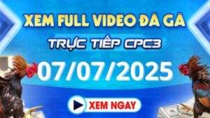 Xem lại video đá gà CPC3 ngày 07_07_2025 tại Daga88