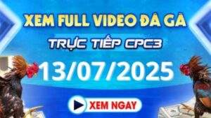 Xem lại video đá gà CPC3 ngày 13_07_2025 tại Daga88