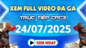 Xem lại video đá gà CPC3 ngày 24_07_2025 tại Daga88