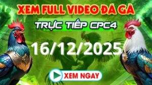 Xem Lại Video Đá Gà CPC4 Trực Tiếp Ngày 16/12/2025