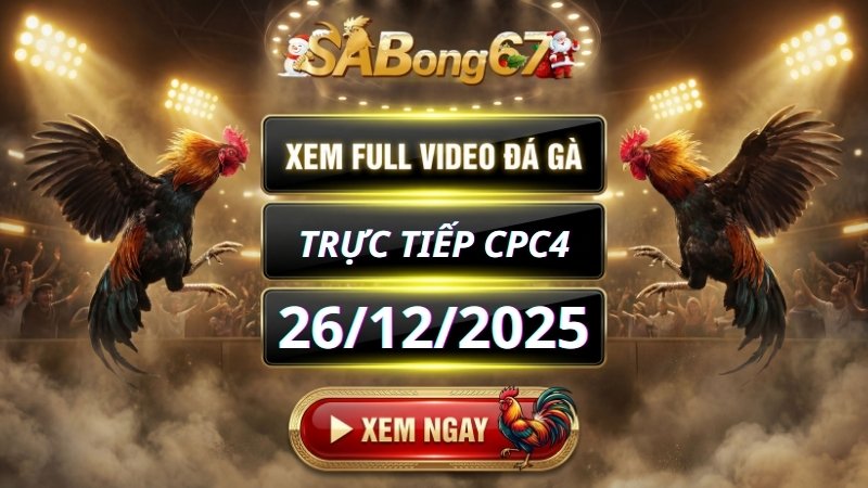 Xem Lại Video Đá Gà CPC4 Trực Tiếp Ngày 26/12/2025