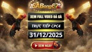 Xem Lai Video Da Ga CPC4 Truc Tiep Ngay 31122025 1