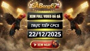 Xem Lại Video Đá Gà CPC5 Trực Tiếp Ngày 22/12/2025
