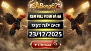 Xem Lại Video Đá Gà CPC5 Trực Tiếp Ngày 23/12/2025