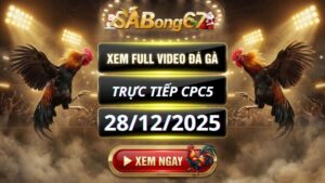Xem Lại Video Đá Gà CPC5 Trực Tiếp Ngày 28/12/2025