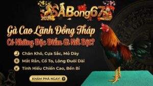 Ga Cao Lanh Dong Thap Co Nhung Dac Diem Gi Noi Bat 1