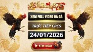 Xem Lai Da Ga CPC5 Truc Tiep Ngay 24012026
