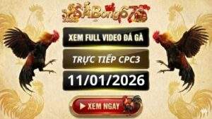 Xem Lai Video Da Ga CPC3 Truc Tiep Ngay 11 01 2026 tai SABONG67 1