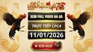 Xem Lai Video Da Ga CPC4 Truc Tiep Ngay 11 01 2026 tai SABONG67 1