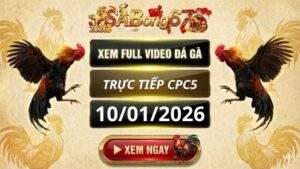 Xem Lai Video Da Ga CPC5 Truc Tiep Ngay 10 01 2026 tai SABONG67 1