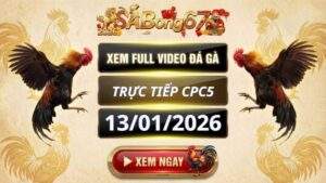 Xem Lai Video Da Ga CPC5 Truc Tiep Ngay 13012026 1