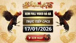 Xem Lai Video Da Ga CPC5 Truc Tiep Ngay 17012026