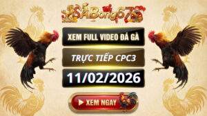 Xem Lại Video Đá Gà CPC3 Trực Tiếp Ngày 11/02/2026