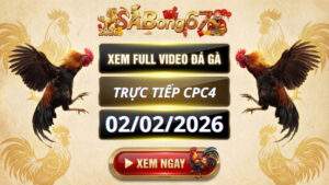 Xem Lại Video Đá Gà CPC4 Trực Tiếp Ngày 02/02/2026