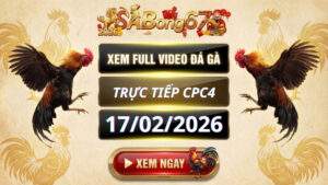 Xem Lại Video Đá Gà CPC4 Trực Tiếp Ngày 17/02/2026