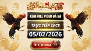 Xem Lại Video Đá Gà CPC5 Trực Tiếp Ngày 05/02/2026