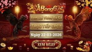 Xem Lại Video Đá Gà CPC2 Trực Tiếp Ngày 22/03/2026