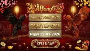 Xem Lại Video Đá Gà CPC5 Trực Tiếp Ngày 22/03/2026