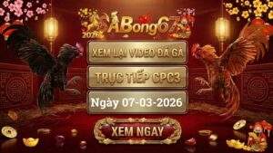 Xem Lại Video Đá Gà CPC3 Trực Tiếp Ngày 07/03/2026